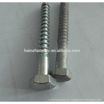 Caliente cavar la cabeza hexagonal galvanizada Tornillo de madera, tornillo de madera galvanizado